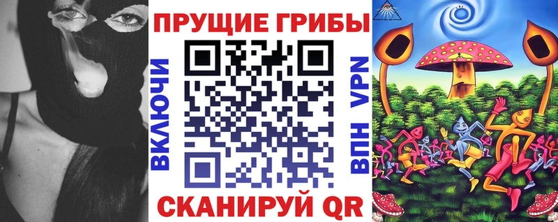 Псилоцибиновые грибы Psilocybe  omg ССЫЛКА  Бутурлиновка 