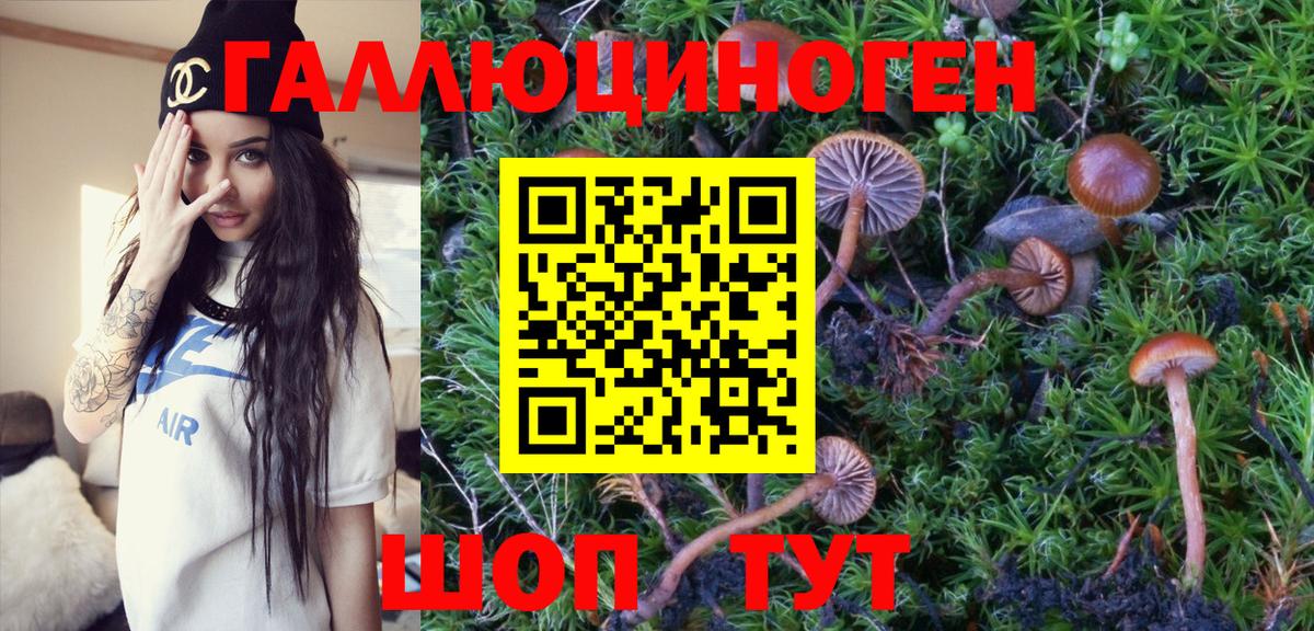 Псилоцибиновые грибы MAGIC MUSHROOMS  Псилоцибиновые грибы Psilocybe  Бутурлиновка  где купить наркоту  Вход с VPN 
